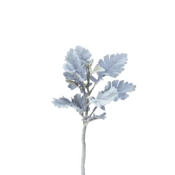 Feuillage Dusty Miller