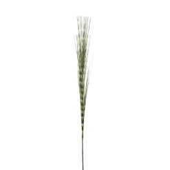 Feuillage Herbe effet rayure