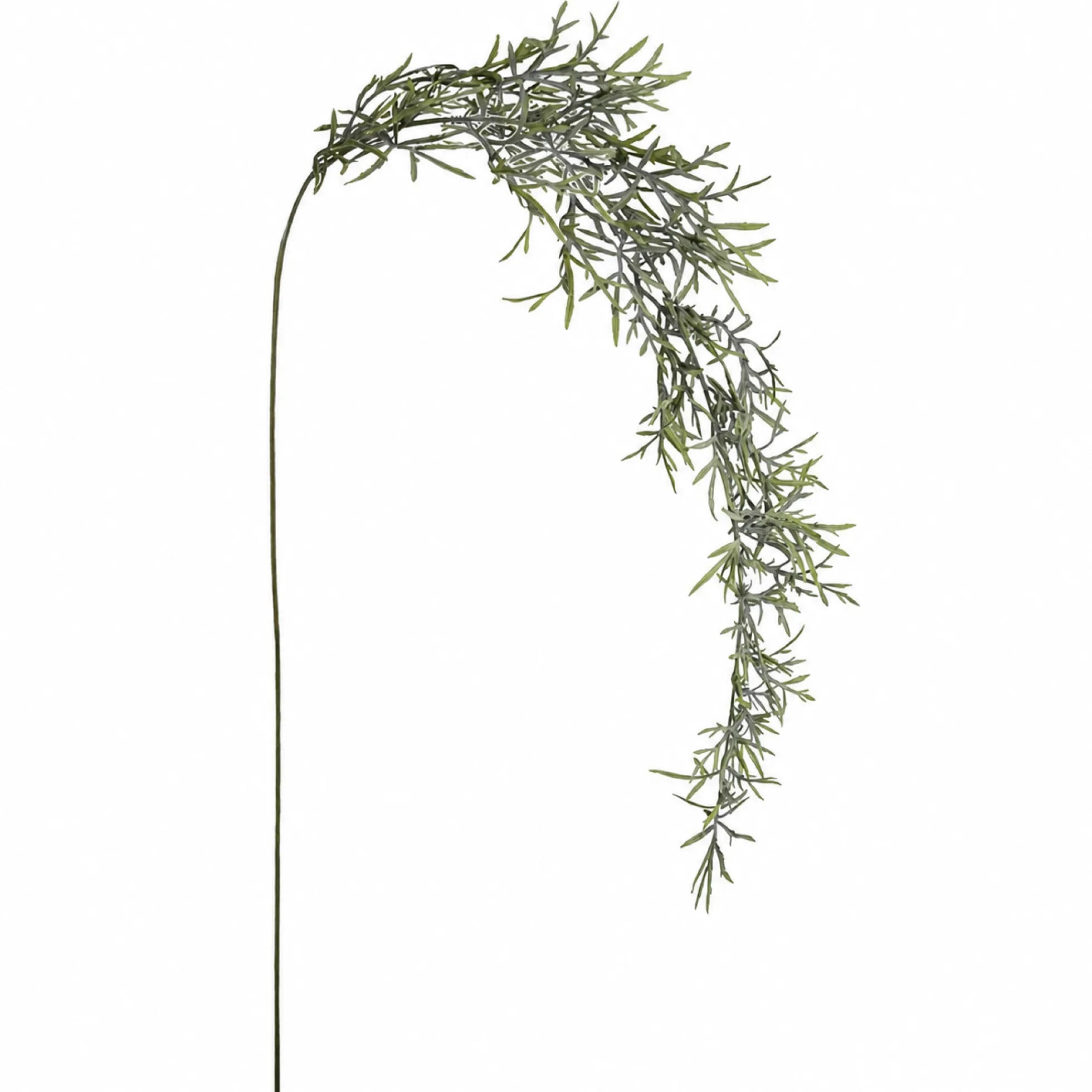 Feuillage Herbe tombante 129 cm