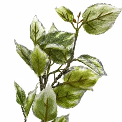 Feuillage Laurier Pailleté