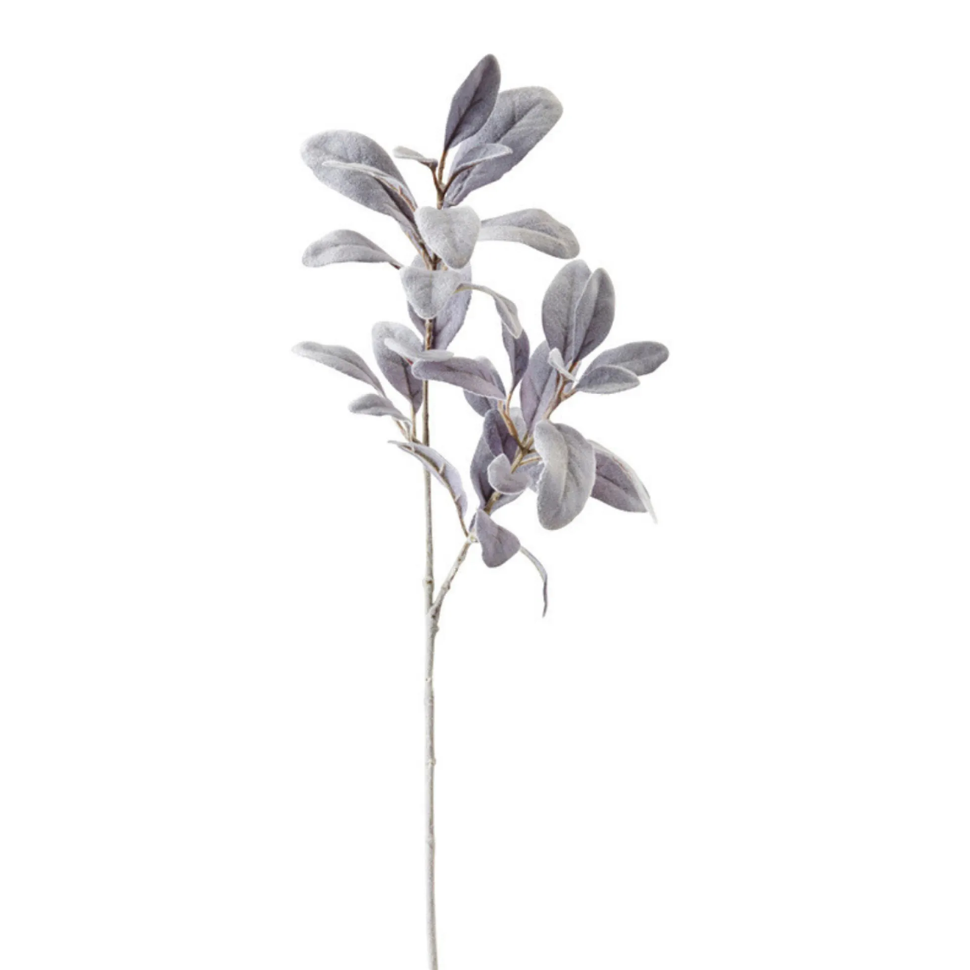 Feuillage Oreille d'Agneau blanchi 73 cm