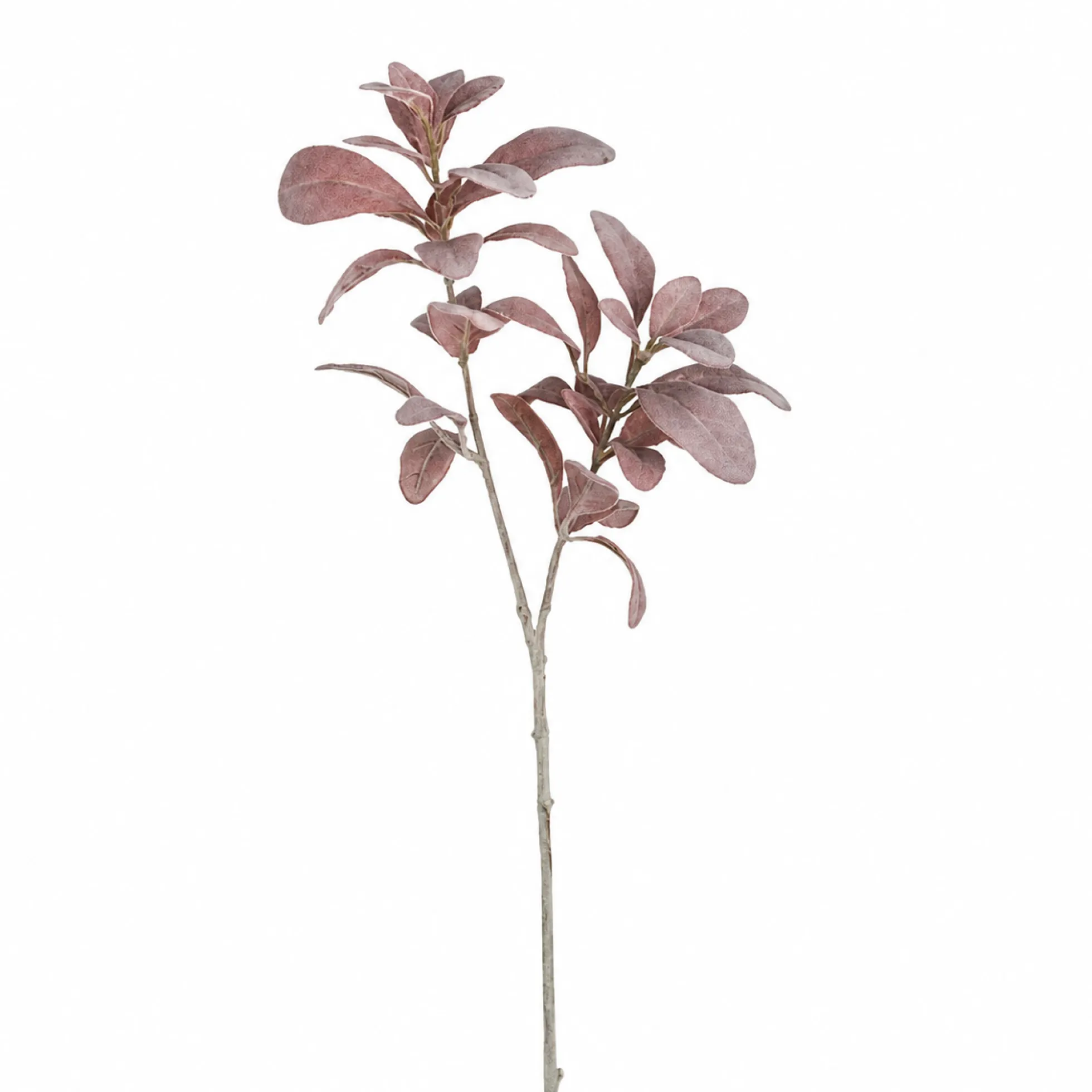 Feuillage Oreille d'Agneau blanchi 74 cm