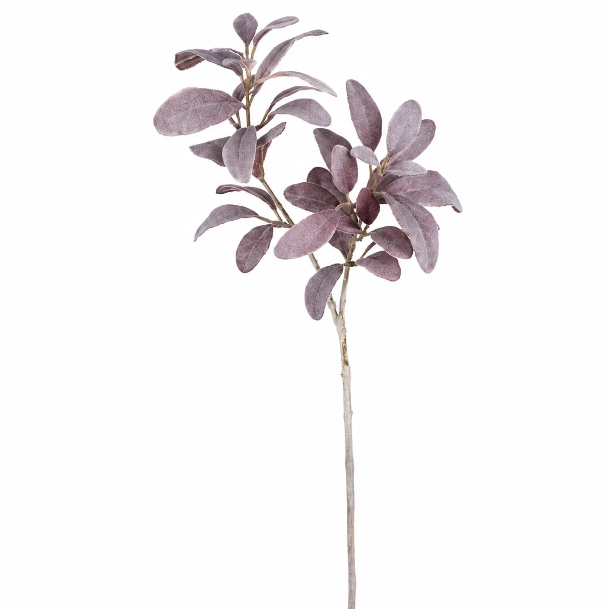 Feuillage Oreille d'Agneau blanchi 74 cm