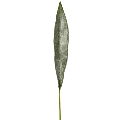 Feuille Aspidistra Pailletée