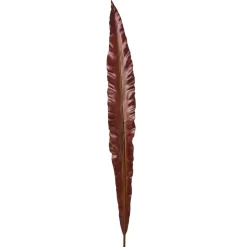 Feuille de Fougère