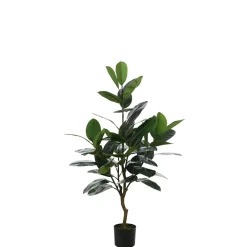 Ficus en pot 130 cm