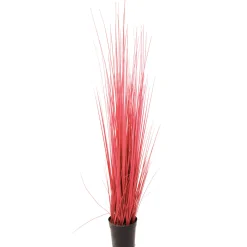 Herbe en Pot 100 cm