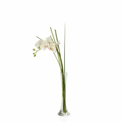 Orchidée Artificielle en Illusion d'Eau