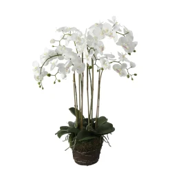Orchidée Artificielle en Terre Grand format