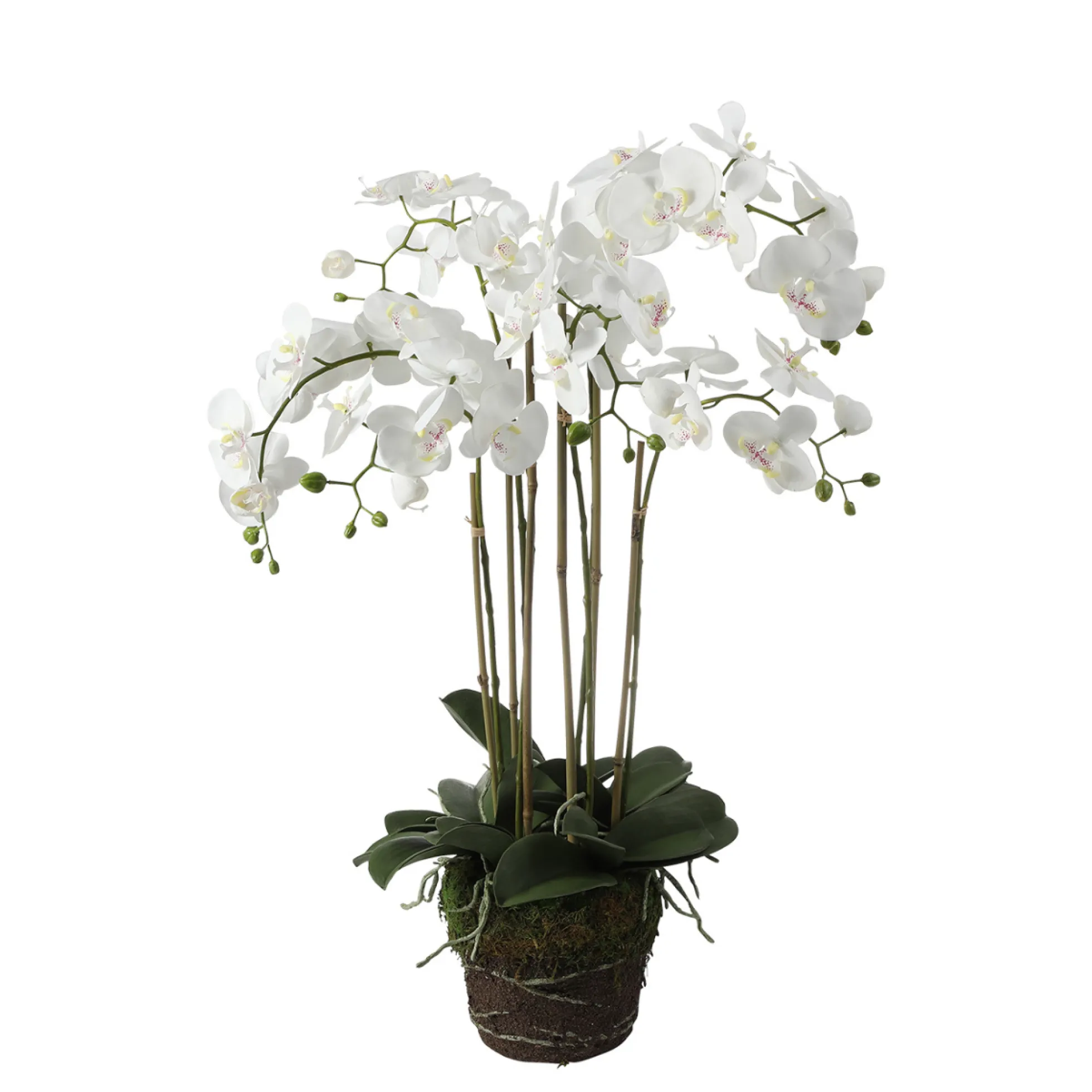 Orchidée Artificielle en Terre Grand format