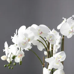 Orchidée Artificielle en Terre Grand format