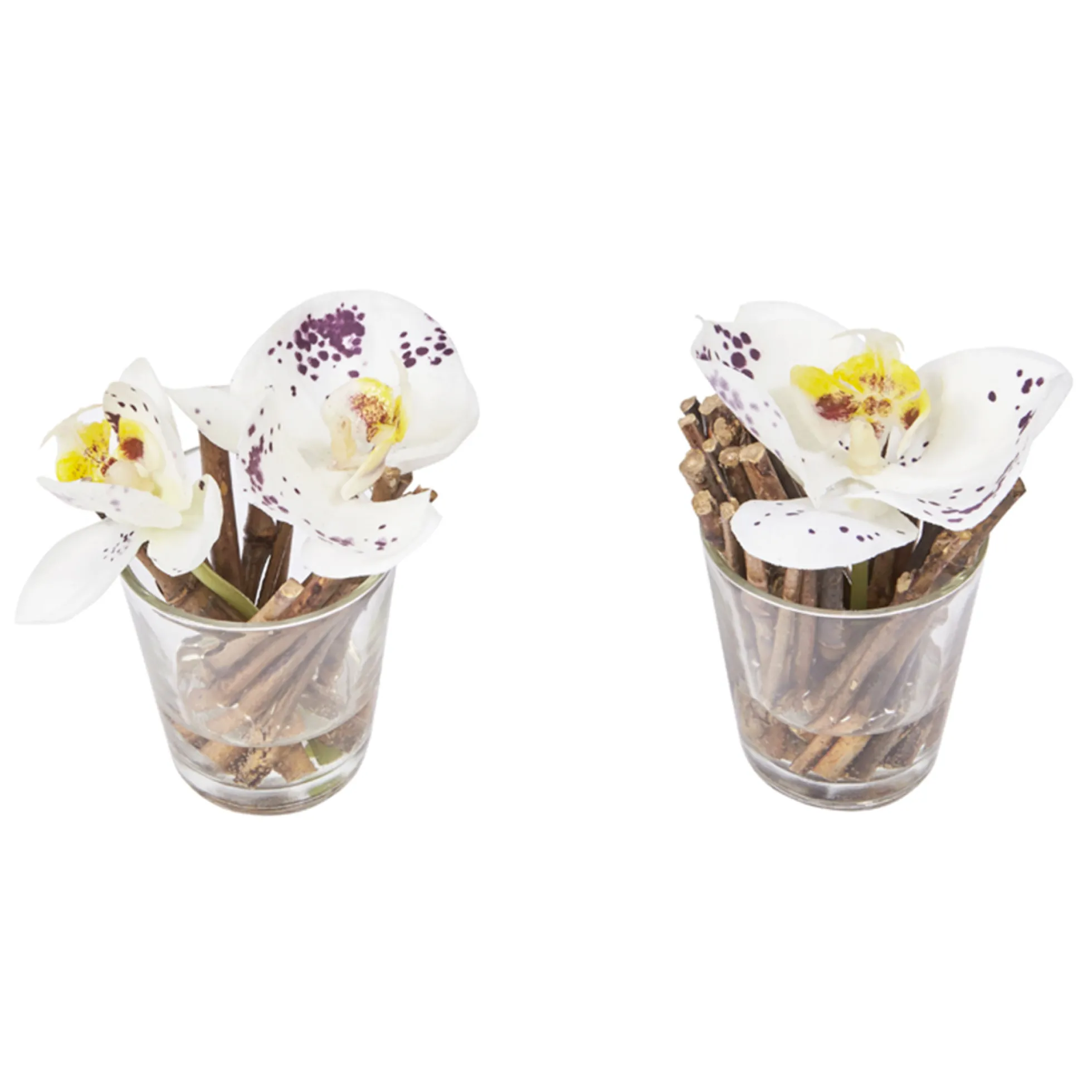 Orchidées Artificielles en Illusion d'Eau Sissi