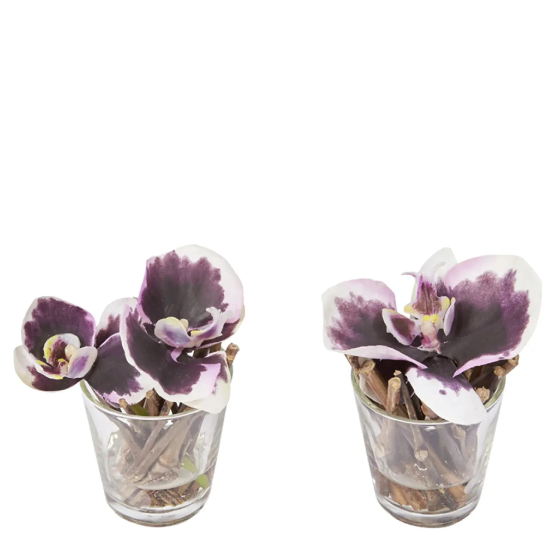 Orchidées Artificielles en Illusion d'Eau Sissi