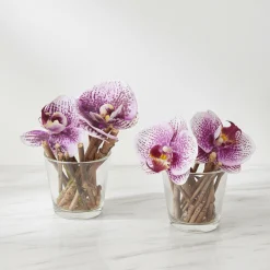 Orchidées Artificielles en Illusion d'Eau Sissi