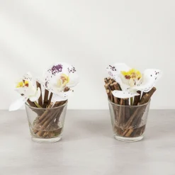 Orchidées Artificielles en Illusion d'Eau Sissi