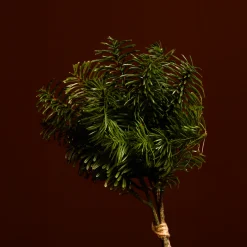 Petit Bouquet de Pin
