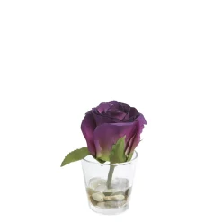 Rose en Illusion d'Eau Stones