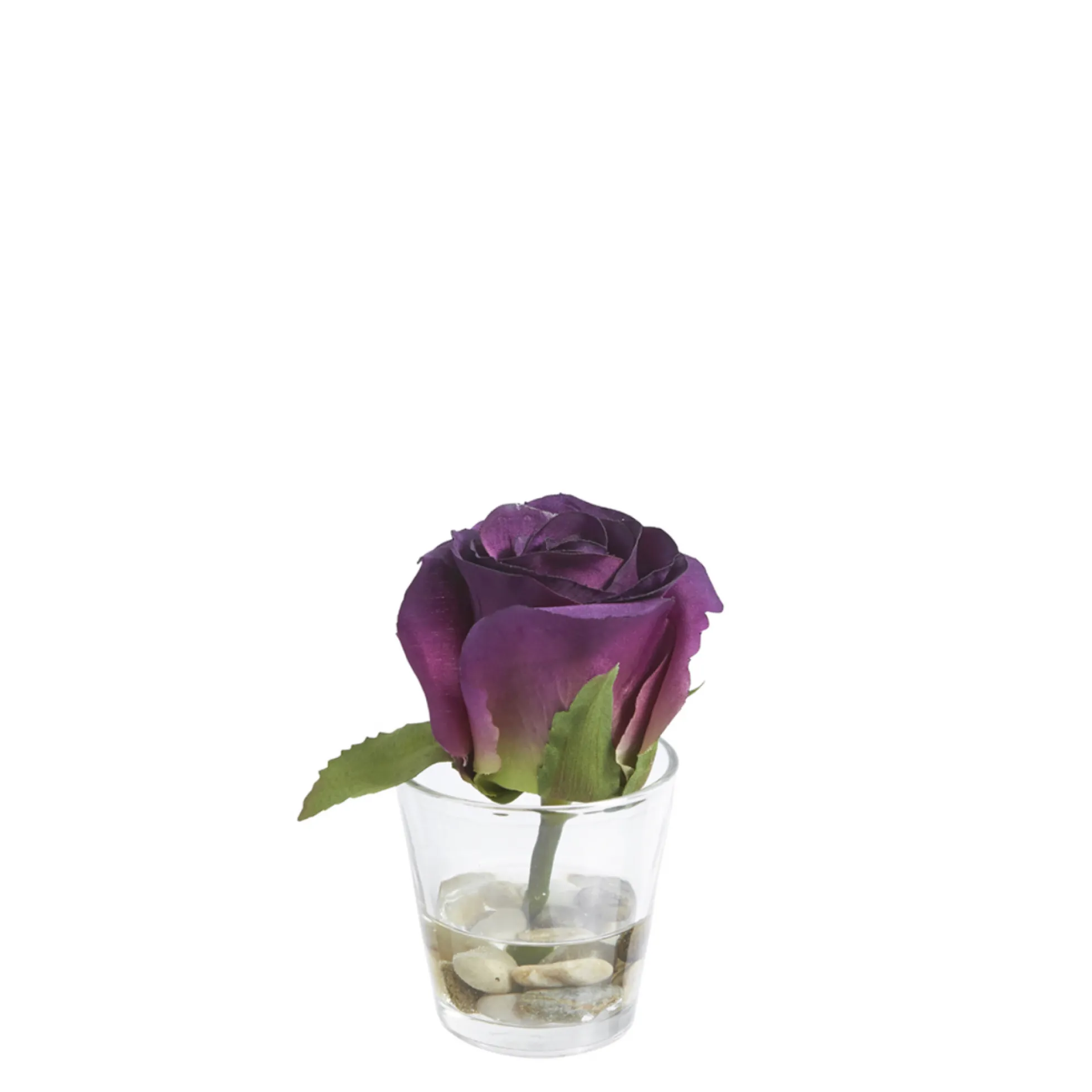 Rose en Illusion d'Eau Stones