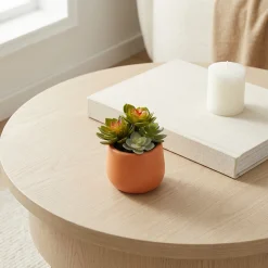 Succulente Artificielle en Pot