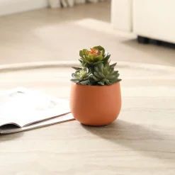 Succulente Artificielle en Pot