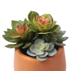 Succulente Artificielle en Pot