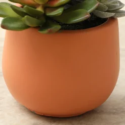 Succulente Artificielle en Pot