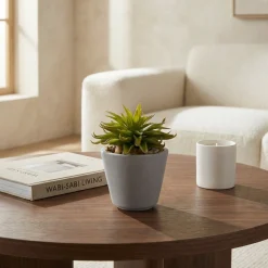 Succulente en Pot Maya