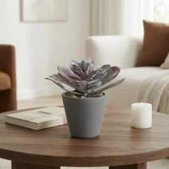 Succulente en Pot Maya