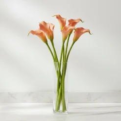 Tige d'Arum Kelly