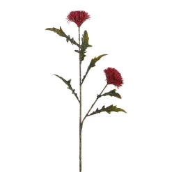 Tige de Chardon 78 cm