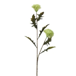 Tige de Chardon 78 cm