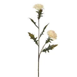 Tige de Chardon 78 cm