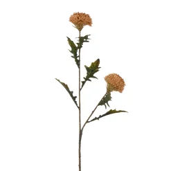 Tige de Chardon 78 cm