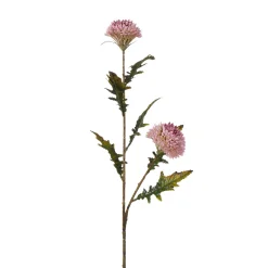Tige de Chardon 78 cm