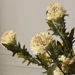 Tige de Chardon 78 cm