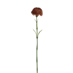 Tige de Chardon 60 cm