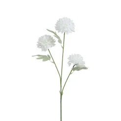 Tige de Chrysanthème 63 cm