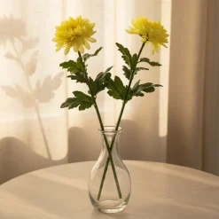 Tige de Chrysanthème Mum