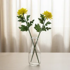 Tige de Chrysanthème Mum