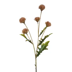 Tige de Chrysanthème Ping Pong 62 cm