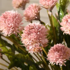 Tige de Chrysanthème Ping Pong 62 cm