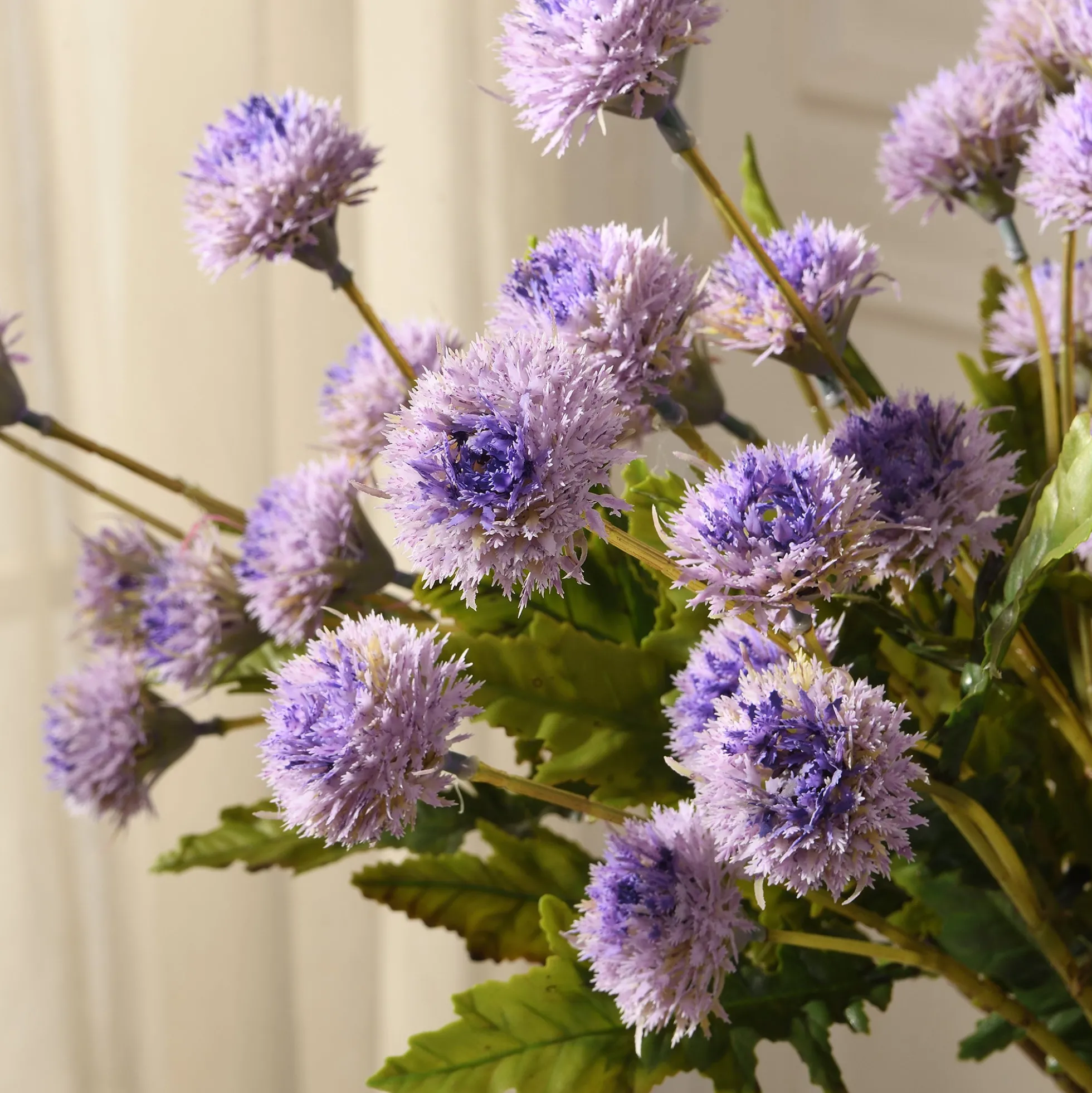 Tige de Chrysanthème Ping Pong 62 cm