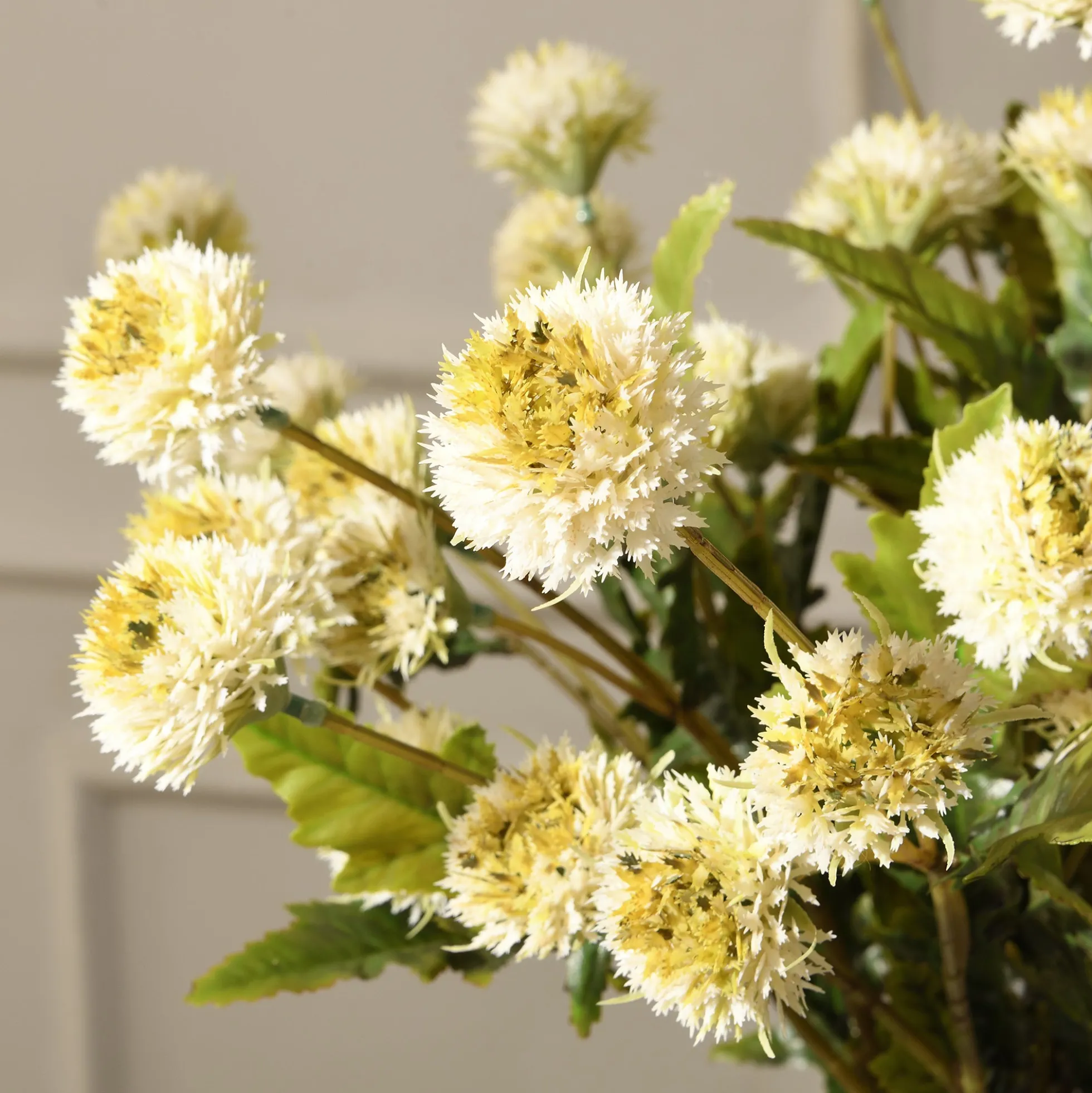 Tige de Chrysanthème Ping Pong 62 cm
