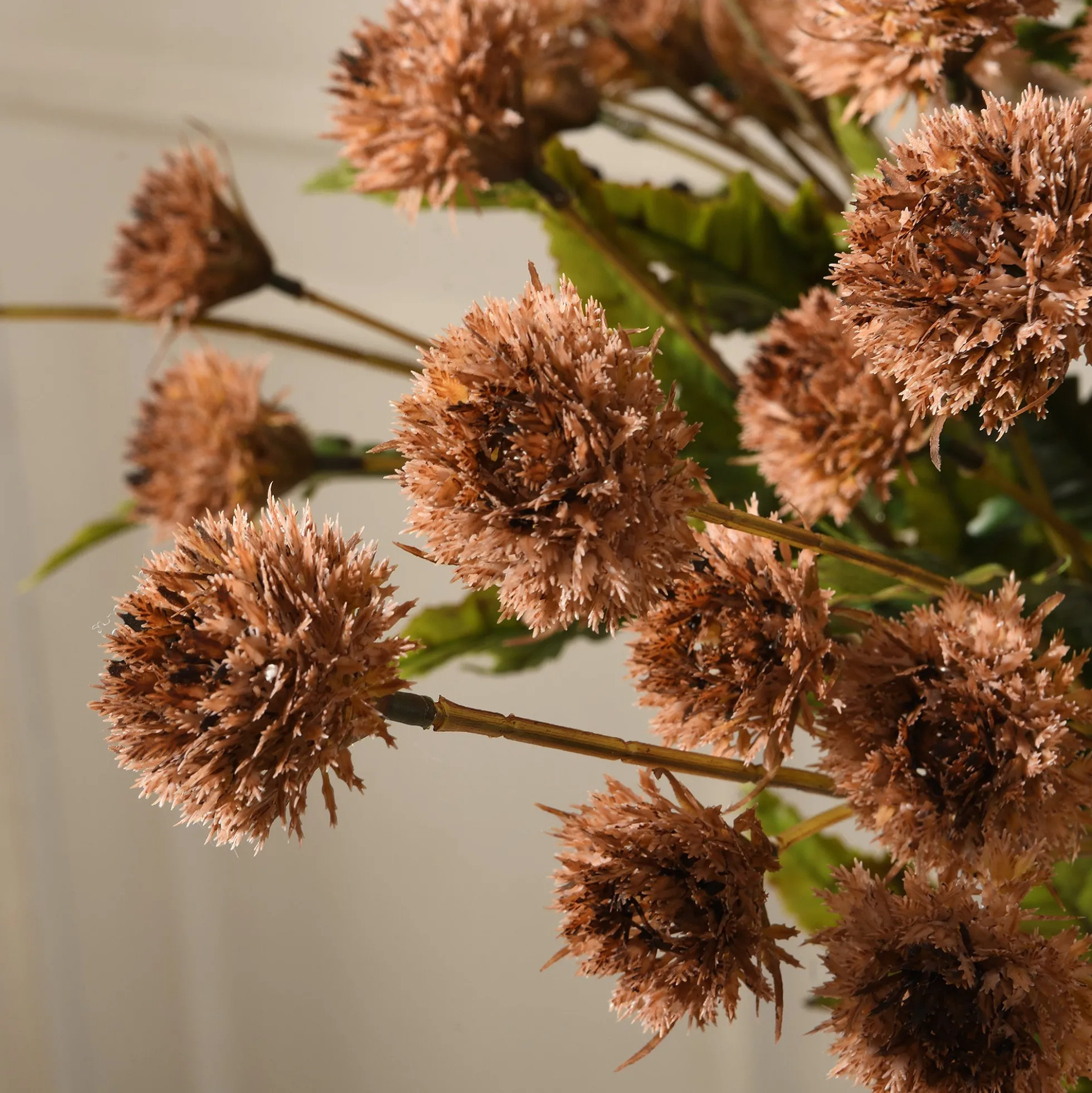 Tige de Chrysanthème Ping Pong 62 cm