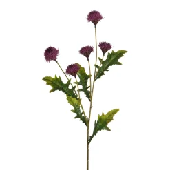 Tige de Chrysanthème Ping Pong 62 cm