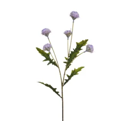 Tige de Chrysanthème Ping Pong 62 cm