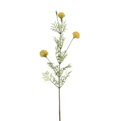 Tige de Chrysanthème Ping Pong 78 cm