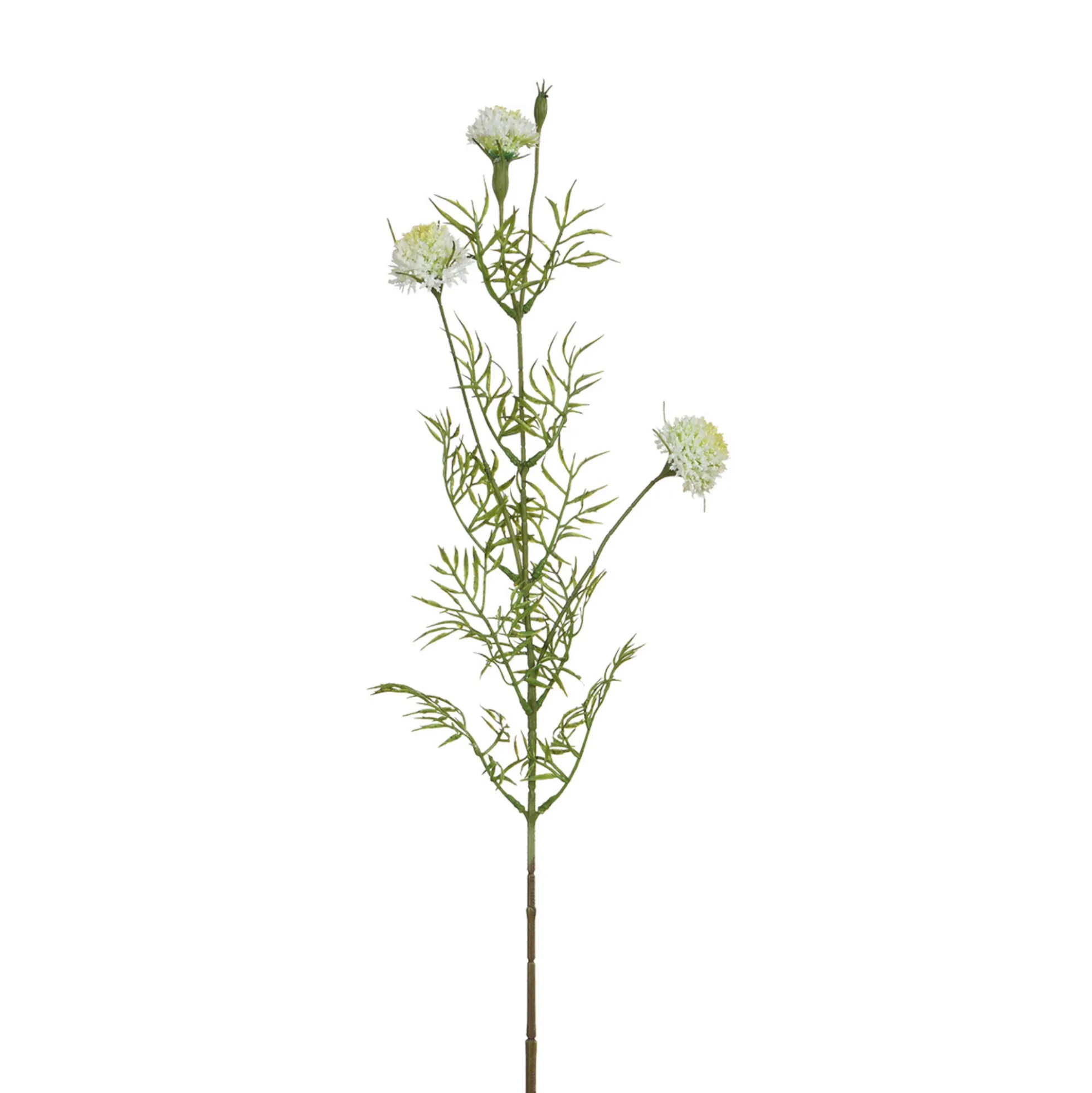 Tige de Chrysanthème Ping Pong 78 cm