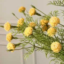 Tige de Chrysanthème Ping Pong 78 cm