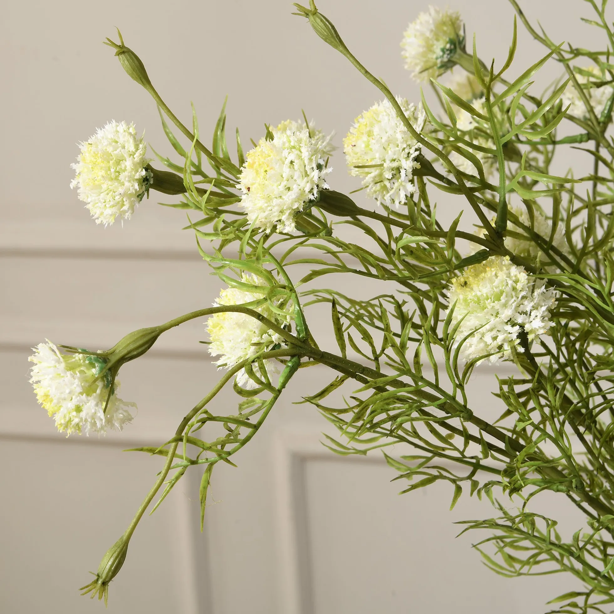 Tige de Chrysanthème Ping Pong 78 cm